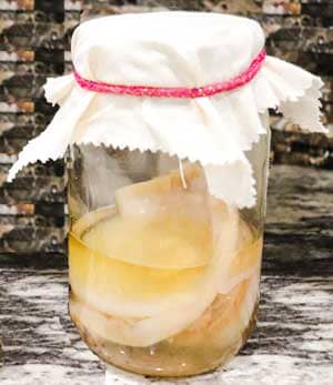 pour scoby and a cup of kombucha into jar and cover
