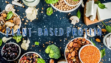 Plant-based protein sources header image