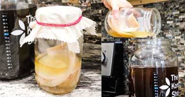 pour SCOBY and liquid starter into tea to make kombucha