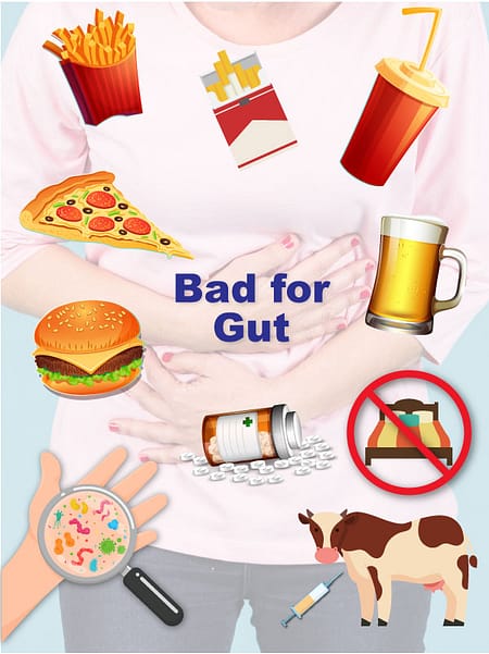 A picture of food that is bad for the health of the gut
