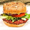 lentil beet burger