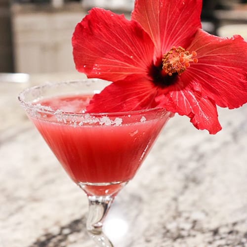 hibiscus margarita mocktail