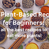 easy plant-based recipes for beginners