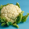 Cauliflower on a turquoise surface