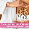 The Link Between Gut Health and Mental Health Feed the Gut Microbiome to Improve Your Mood!