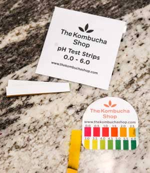 test pH of kombucha tea