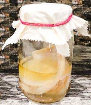 kombucha scoby placed in a jar
