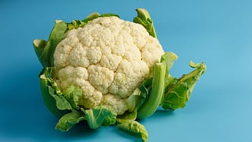 Cauliflower on a turquoise surface