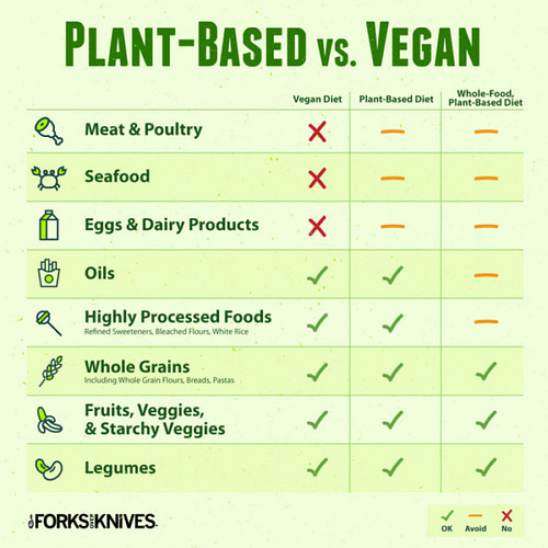 Plant-Based VS. Vegan image