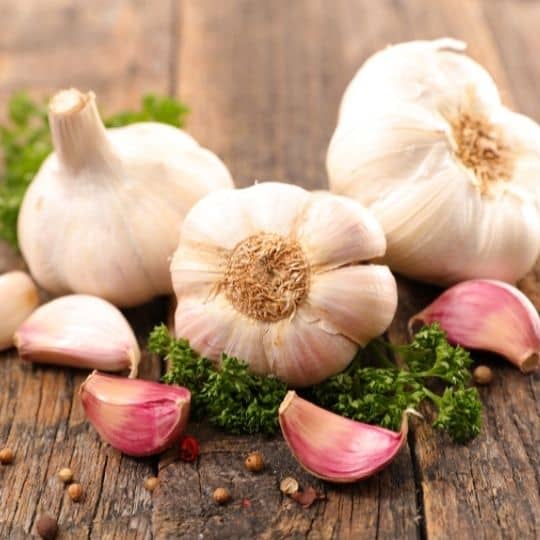 garlic on the wooden table