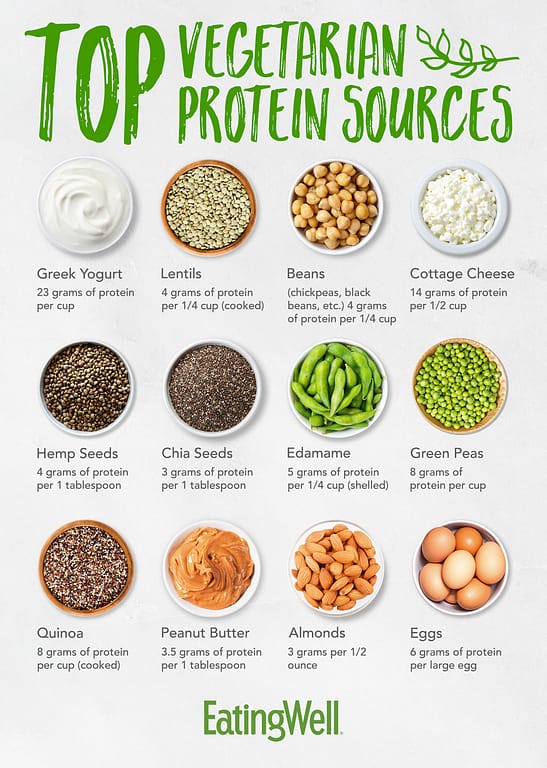 Table of top vegetarian protein sources