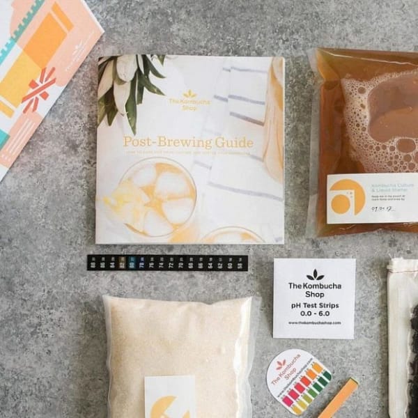 Kombucha Brewing Kit, One gallon - contents