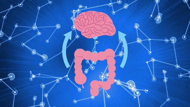 gut health and mental health: what is the link between gut and brain