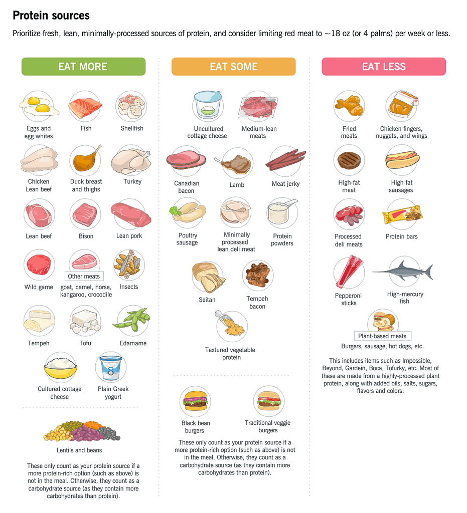 Images of proteins that we should eat more, eat some, and eat less